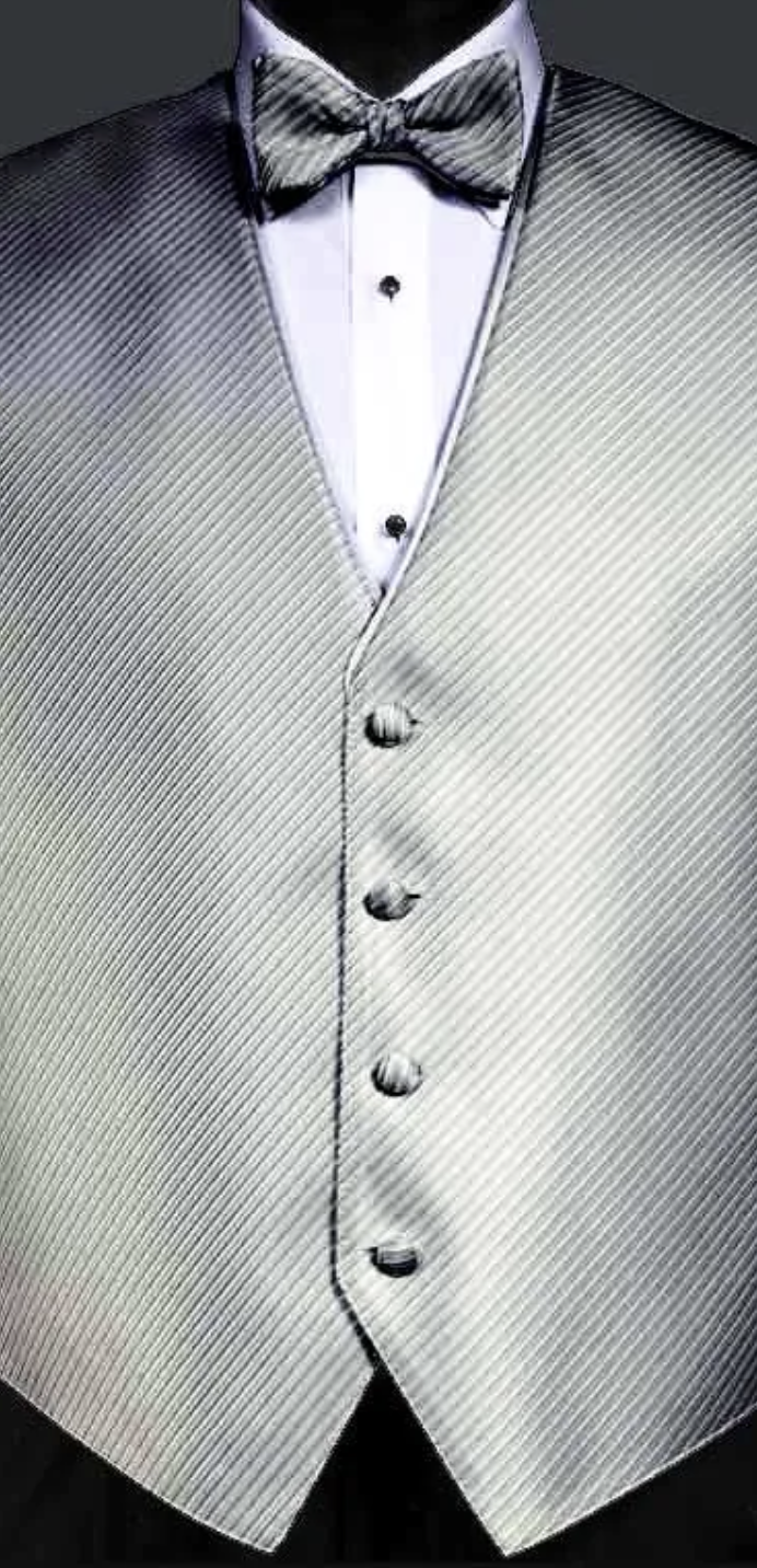 BALI SILVER METALLIC VEST