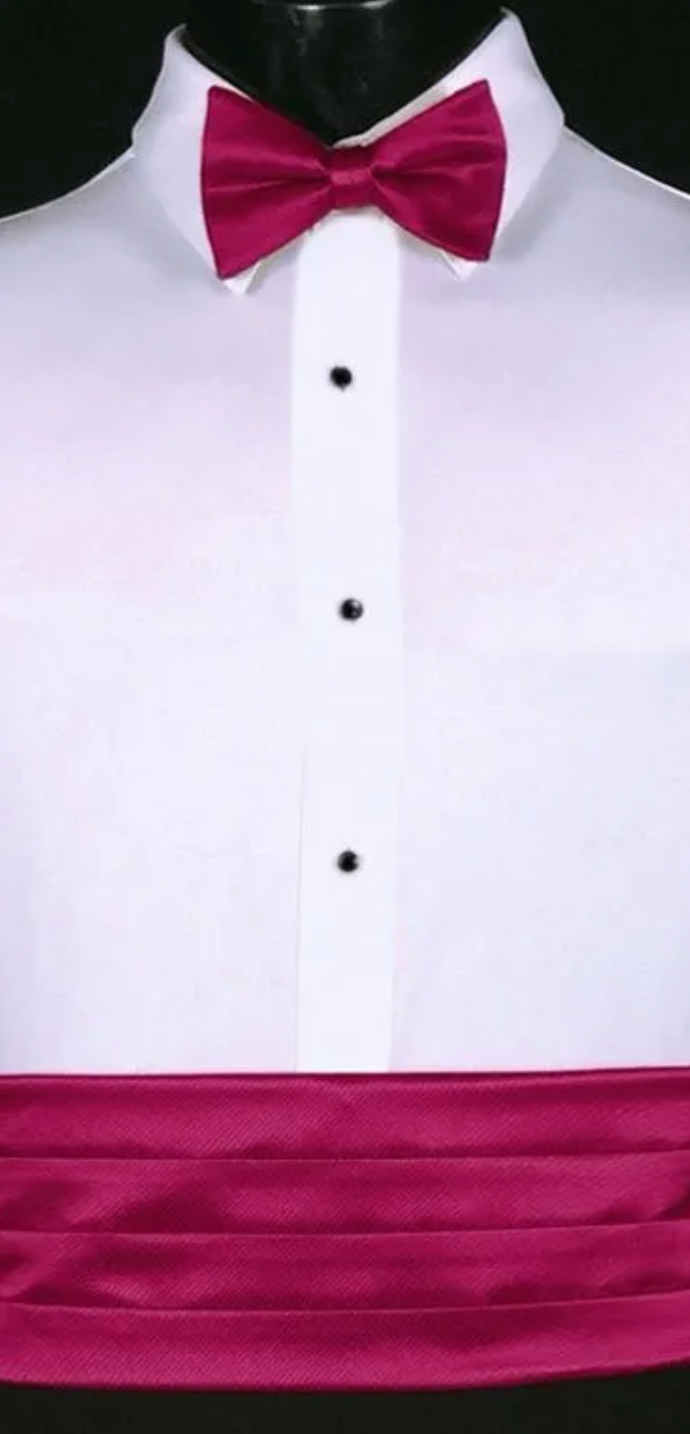 FUCHISA CUMMERBUND